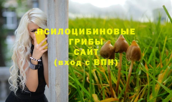 прущие крисы Алексин